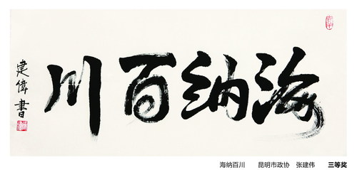 P51（上）