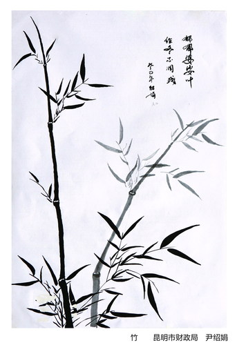 P65（右）