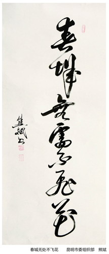 P81（右）