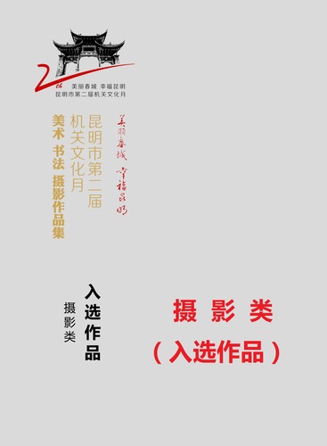 P102——1