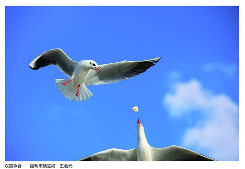 P118—上
