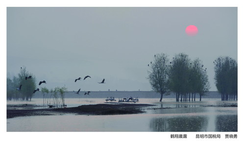P133—下