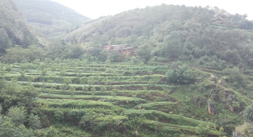 扶贫点——禄劝县马鹿塘乡普德村委会刘家村