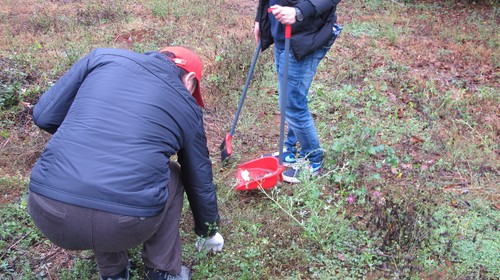 IMG_1008 IMG_1008