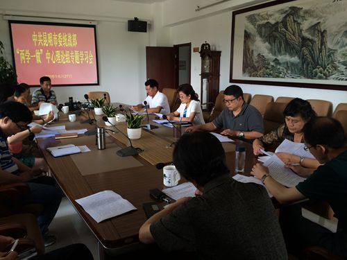 市委统战部召开“两学一做”中心理论组专题学习会1_副本