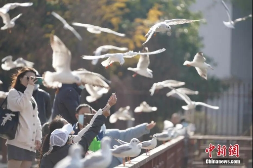 中新闻
