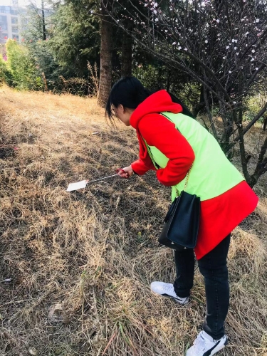清洁老宝象河旁垃圾1