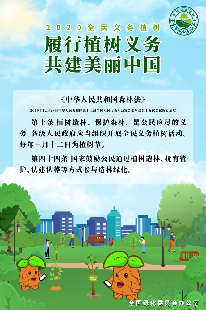 植树1
