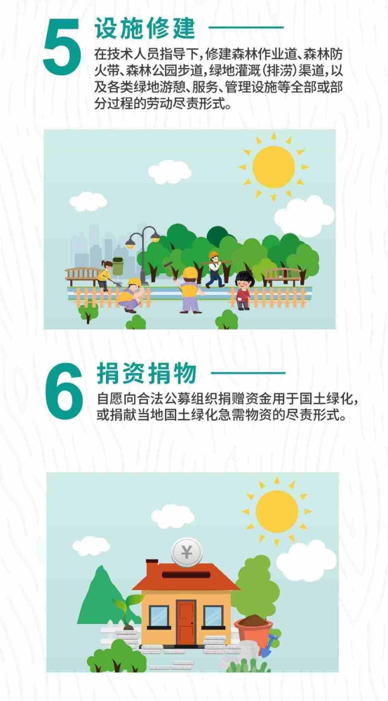 植树4
