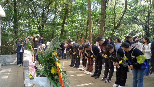 3.敬献菊花寄哀思