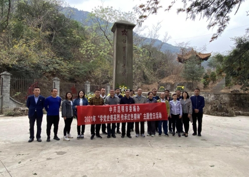 图片1