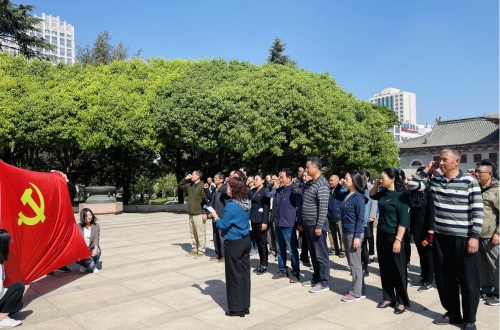 市工信局“我们的节日”清明节主题党日活动4