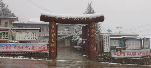 图片3