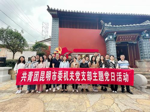 开展一次主题党日活动