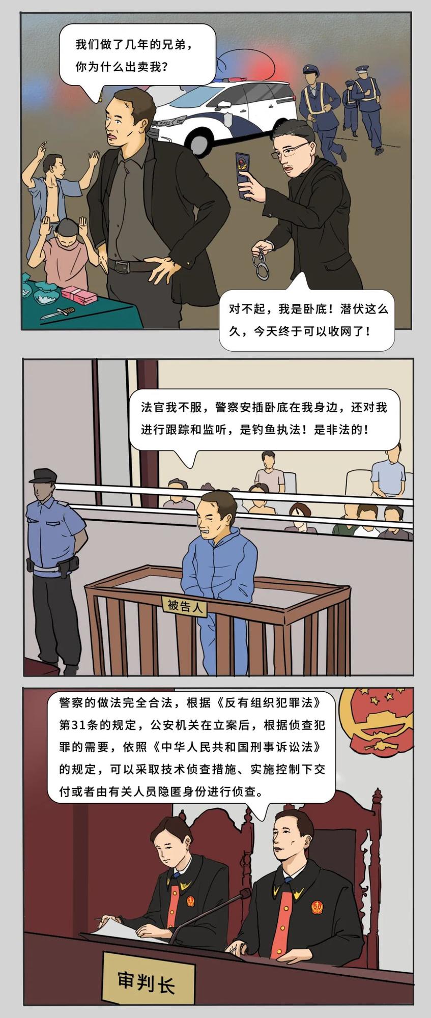 组织4