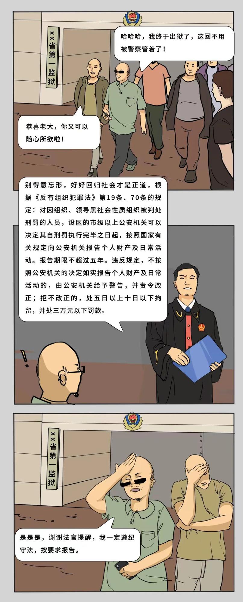 组织6