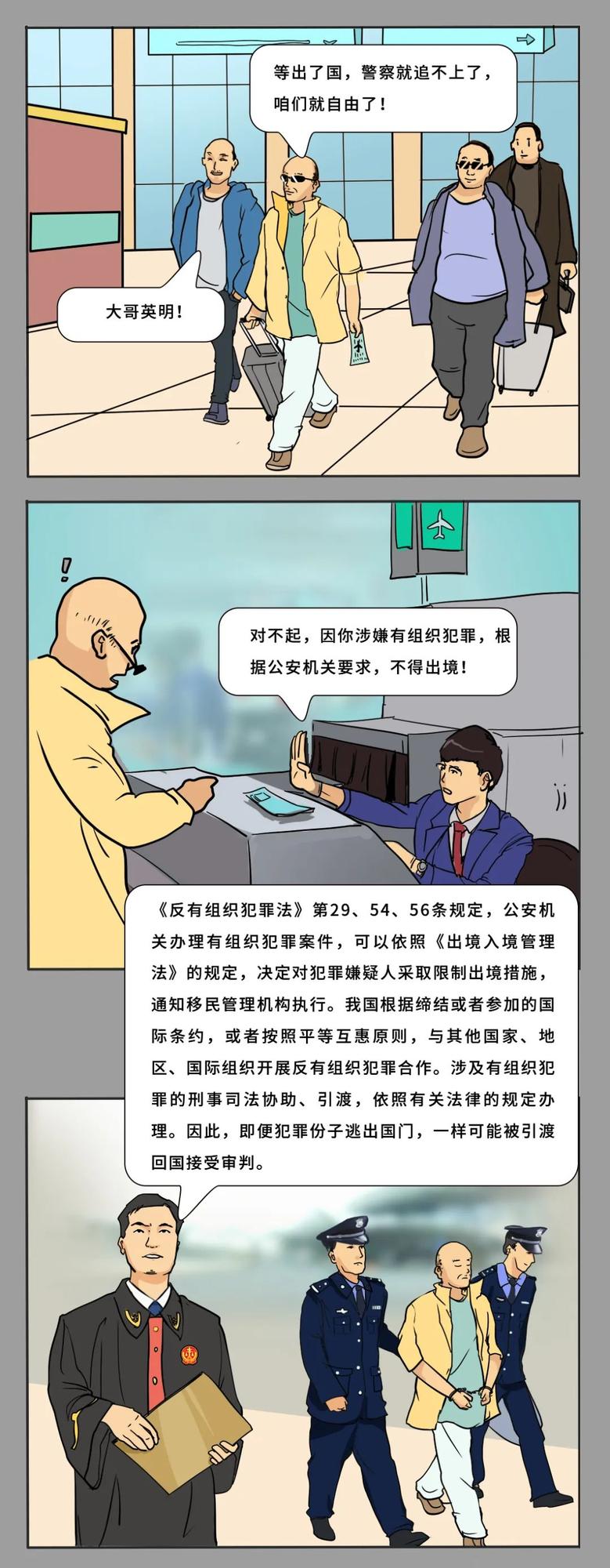 组织8