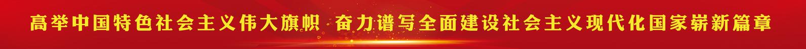 高举中国特色社会主义伟大旗帜