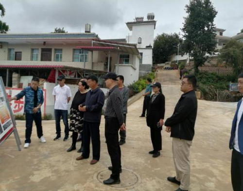 图片11