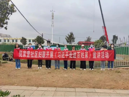 图片2