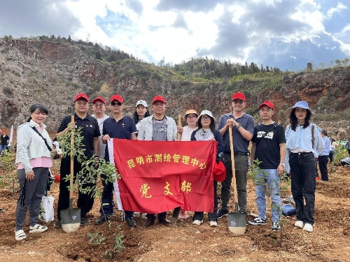 图片1 图片1