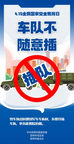 车队不随意插