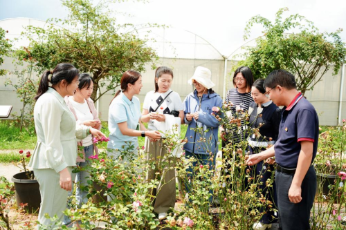 花3